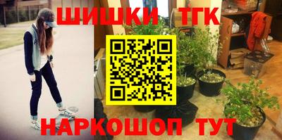 гидра Тара
