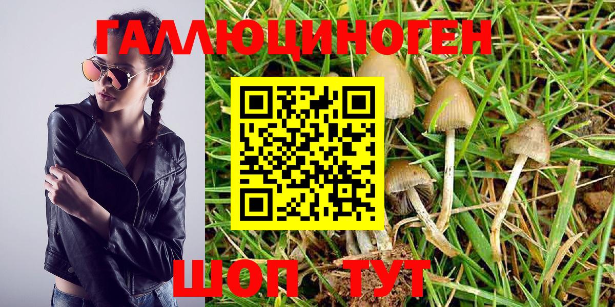 Галлюциногенные грибы MAGIC MUSHROOMS  Галлюциногенные грибы MAGIC MUSHROOMS  Вход с VPN  Реж 